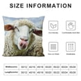 thumbnail image 5 of BANET  Pillowcase Funny Sheep Showing Tongue Face Portrait  Square,Throw Pillow Covers Decorative for Couch and Bed for Boy Girl 24x24in, 5 of 5