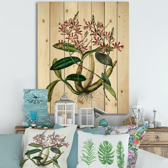 Designart 'Ancient Plant Life VII' Traditional Print on Natural Pine Wood