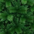 thumbnail image 4 of ALEKO Traditional Artificial Indoor Christmas Holiday Tree - 8 Foot, 4 of 4
