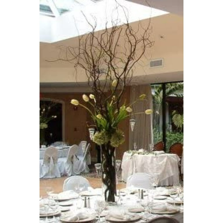 48Lighted Gold Curly Willow Branches Power Battery Wedding Décor Remote –  Willows & More