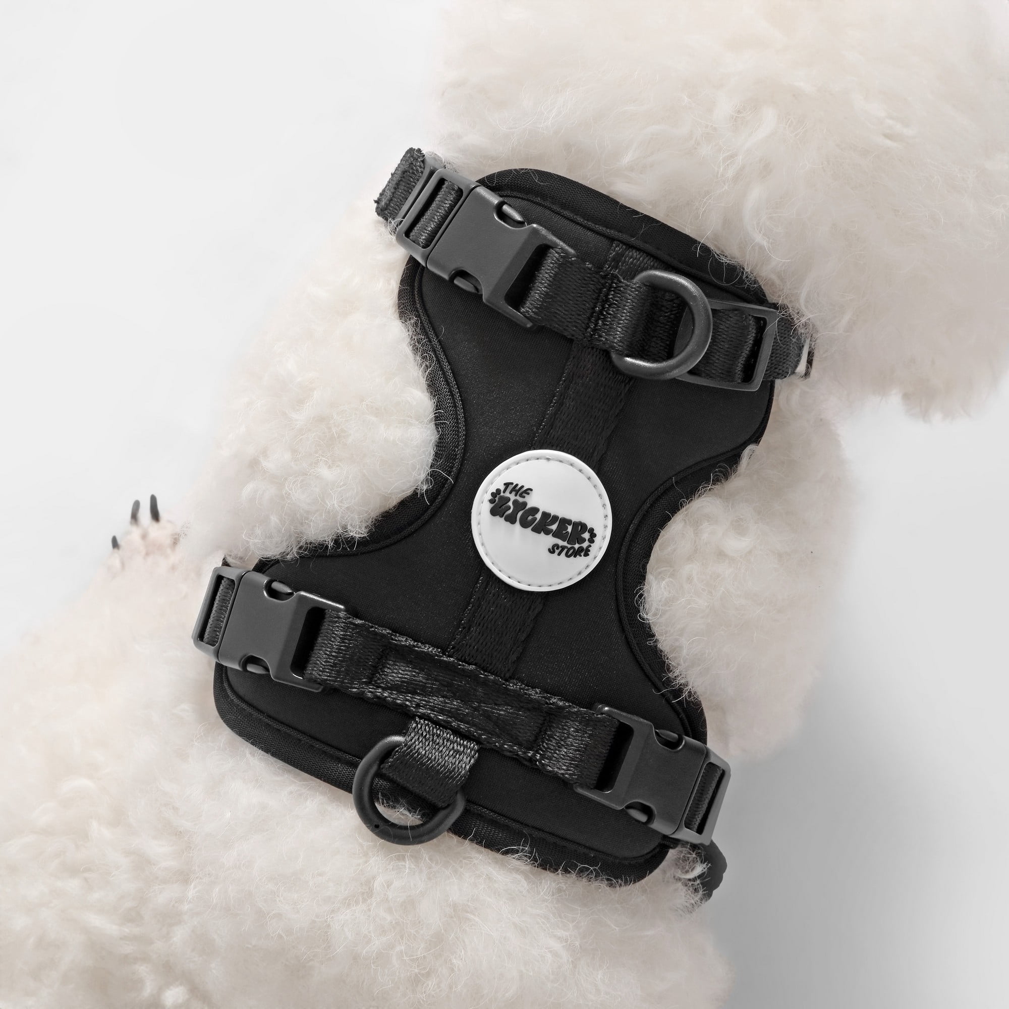 THE LICKER STORE Arlo Extra Small Adjustable Soft Padded No Pull Pet Harness with 3 Buckles and 3 Leash Clips, Black, HNS1000I