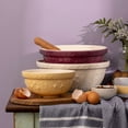 thumbnail image 4 of Mason Cash In The Meadow S12 (4.25 Qt) Mixing Bowl | Rose, 4 of 6