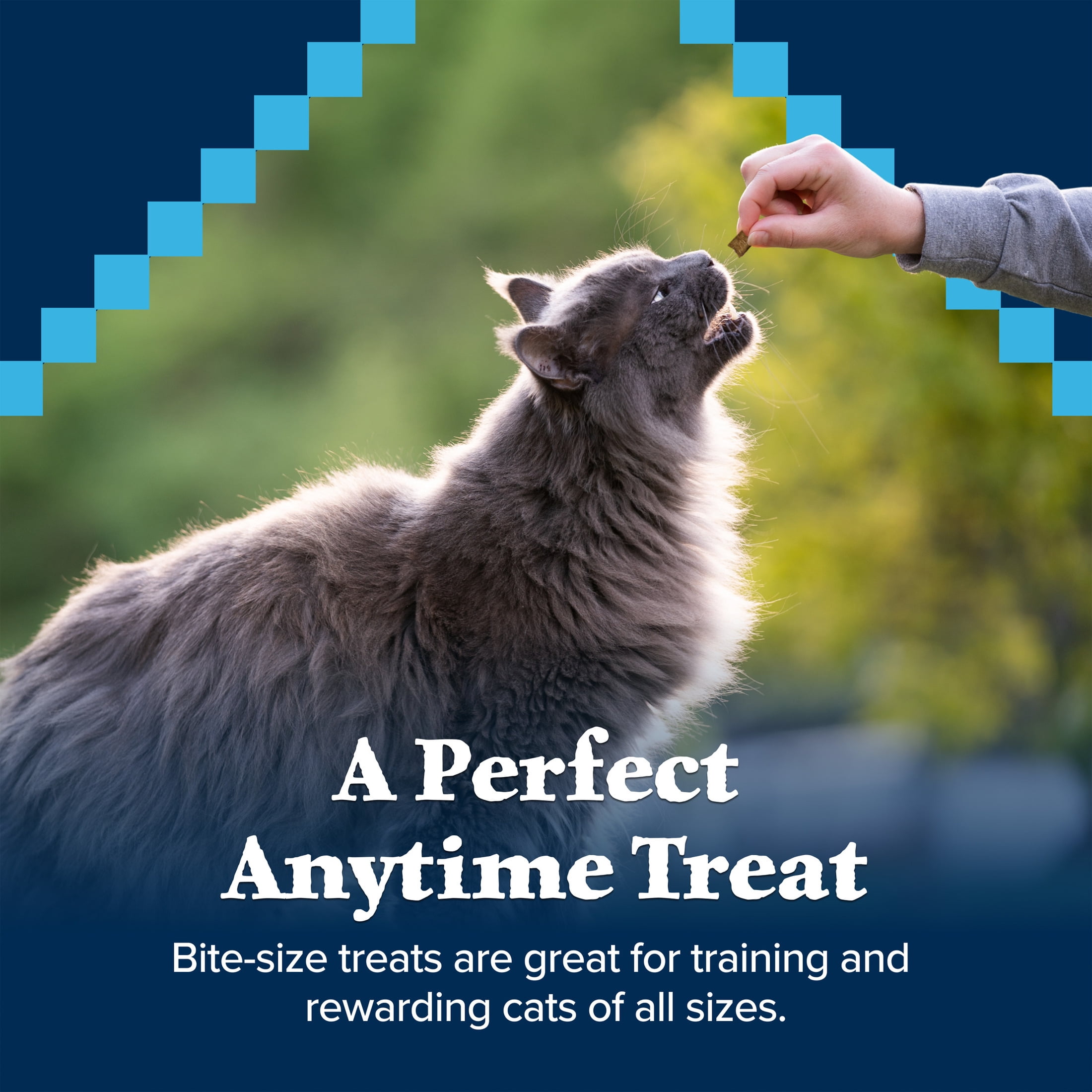 Blue Buffalo Wilderness Crunchy Cat Treats, Tasty Salmon Flavor, 2-oz. Bag