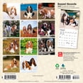 thumbnail image 2 of Basset Hounds | 2027 7x14" (Hanging) Wall Calendar, 2 of 9