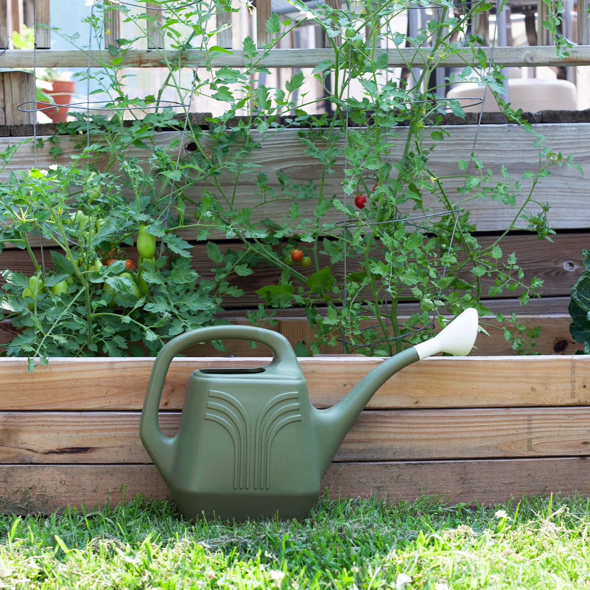 Bloem Promo Watering Can - Resin, Removable Nozzle - 2 Gal, Green — Garden & Landscape Use, Standard Connection