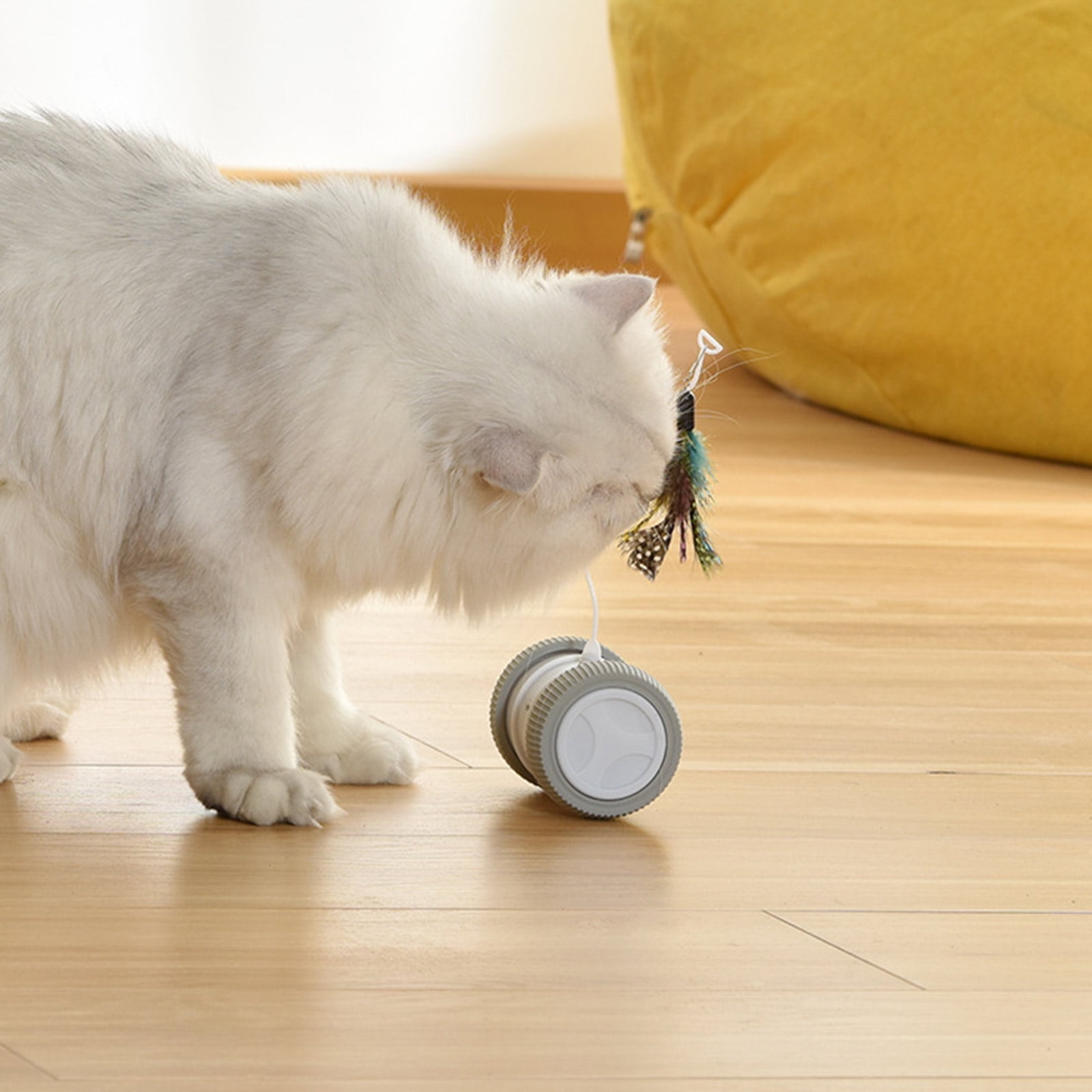 lanema Interactive for Cat Toy Automatic Roller with Feather for Kitten Hunting Simulat