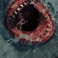 thumbnail image 6 of Itn - Land Shark [DIGITAL VIDEO DISC], 6 of 6