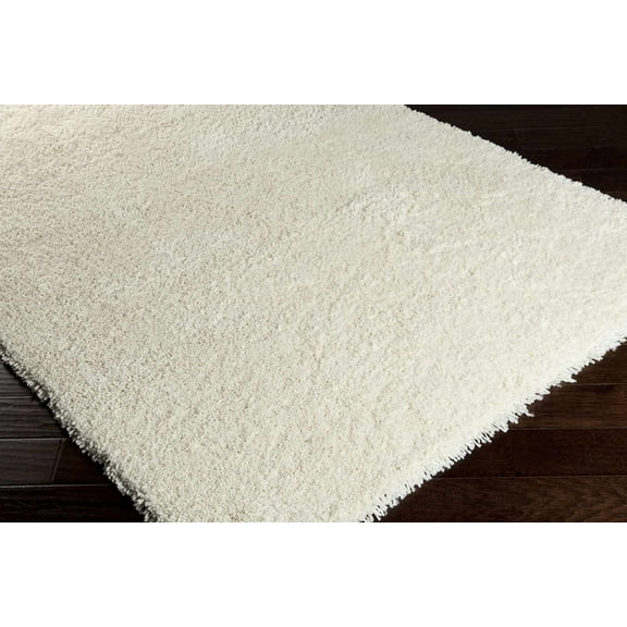 Hauteloom Rowdy Living Room, Bedroom Area Rug - Shags - Plush Pile - Ivory - 3' x 5'