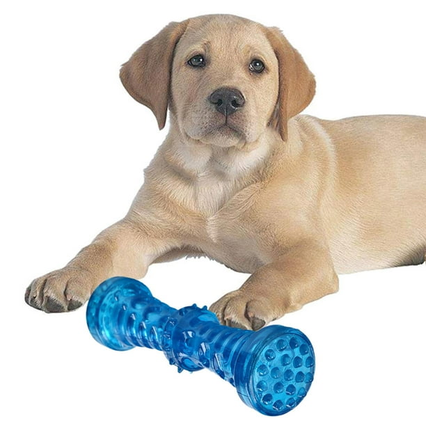 TPR Dog Chew Funny Sounds Interactive Dog Toy Durable Squeaky Dog Blue 18x5cm Walmart