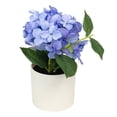 thumbnail image 5 of Mainstays 8" Artificial Blue Hydrangea in Cream Pot, for Indoor Use, 5 of 8