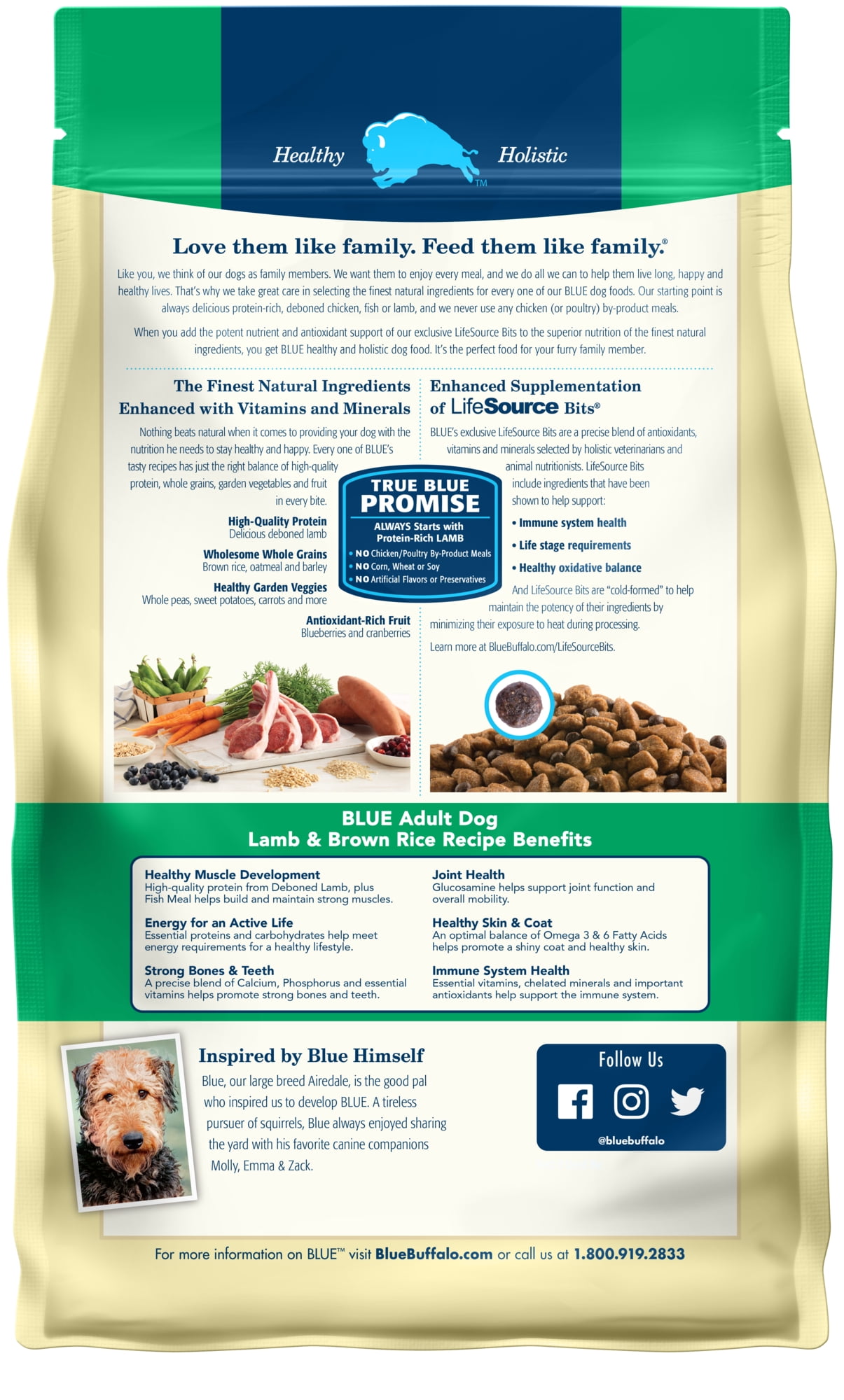 Blue Buffalo Life Protection Formula Lamb and Brown Rice Dry Dog Food for Adult Dogs, Whole Grain, 6 lb. Bag