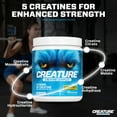 thumbnail image 4 of CREATURE® Creatine Complex-Builds Muscle, Strength, Stamina, Unflavored, 60 Servings, 4 of 7