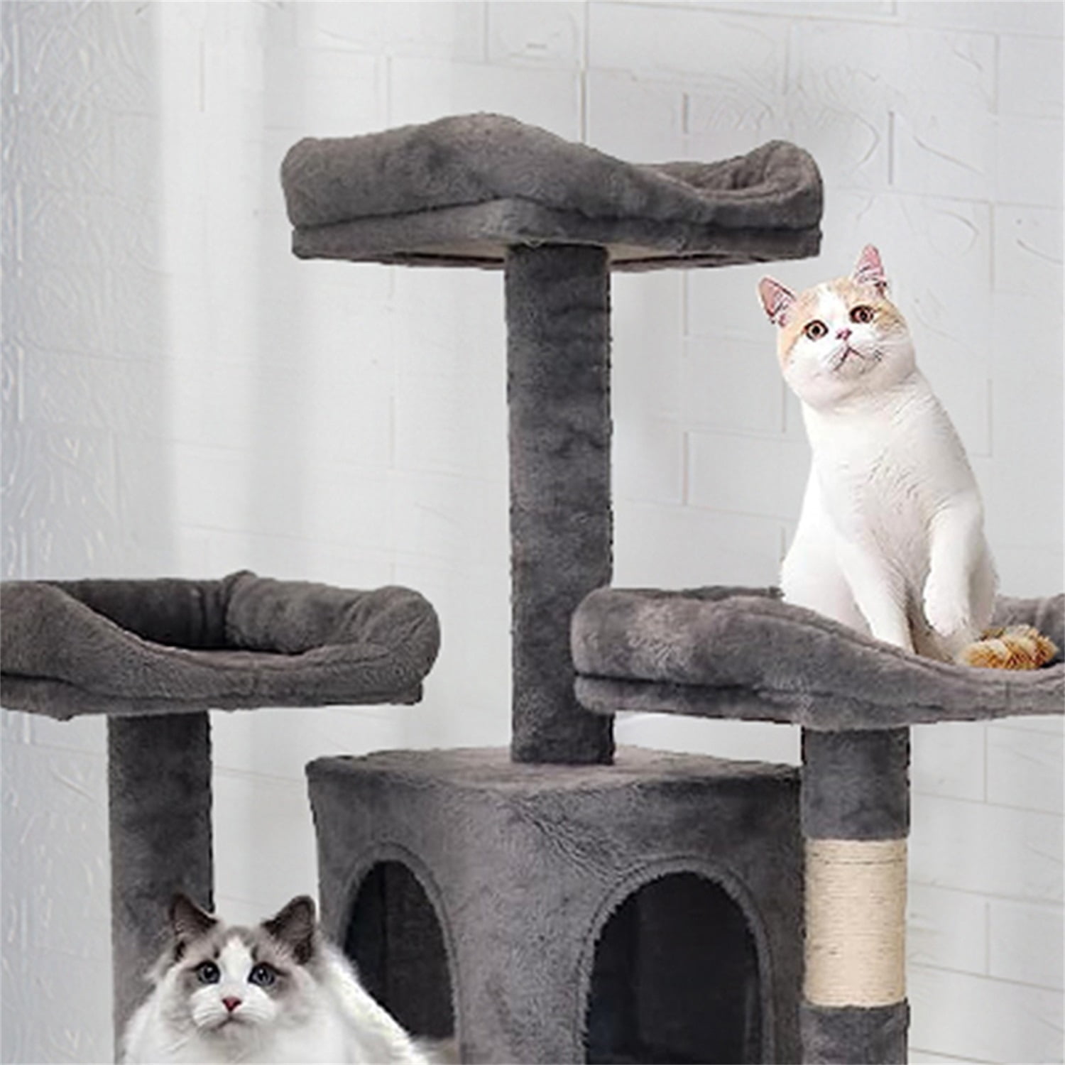 best cat tree for senior cats