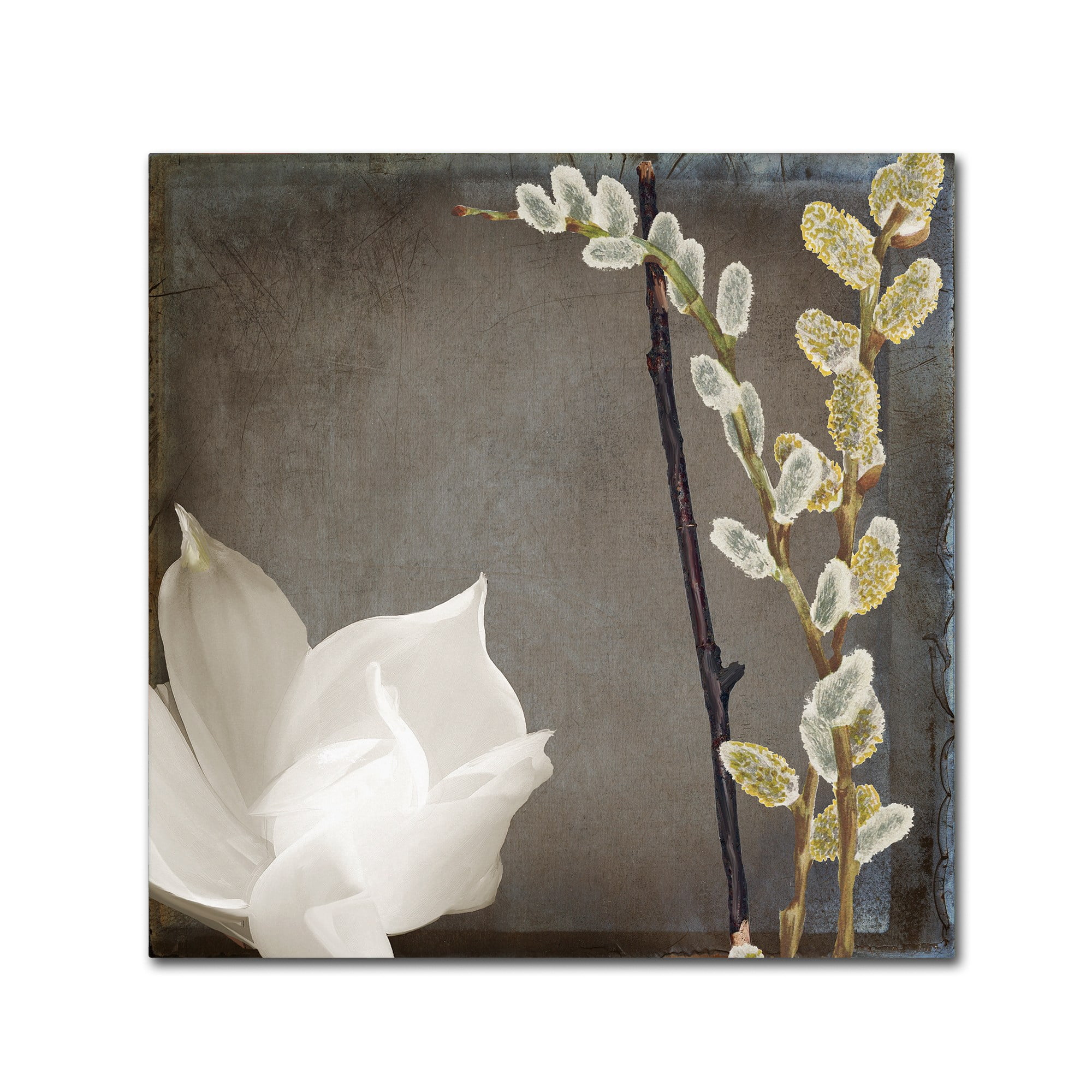 Trademark Fine Art "India II" Canvas Art by Color Bakery