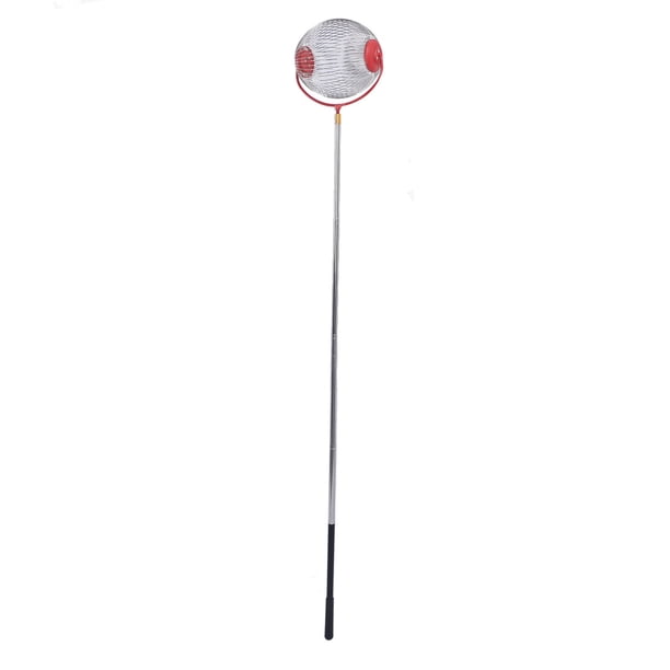 Recolector De Frutas Con Cesta De Acero Inoxidable Para Manzanas, Naranjas, Peras, Nueces, Castañas, Ligero Y Portátil