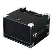 Phil Jones Bass Bass Cub BG-100 100-Watt 2x5" Bass Combo Amplifier