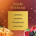 thumbnail image 5 of Glade® PlugIns® Refills Air Freshener, Christmas Pumpkin & Ginger and Pomegranate & Currant, 3.35oz., 5 Count, 5 of 12