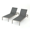 Miller Outdoor Mesh Chaise Lounge, Set of 2, Dark Grey, Silver