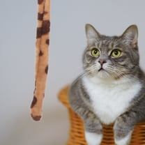 Niceauty cat toys training Cat Teaser Stick Wood 1Pack