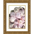 thumbnail image 1 of Artographie Studio 11x14 Gold Ornate Wood Framed with Double Matting Museum Art Print Titled - Succulent Plant 04, 1 of 4