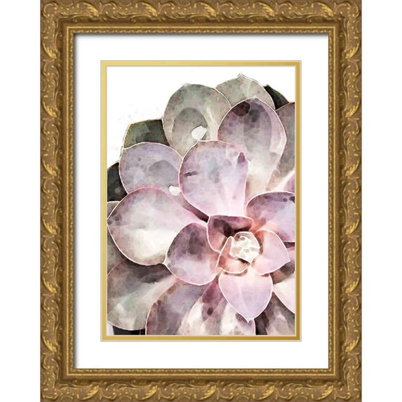 Artographie Studio 11x14 Gold Ornate Wood Framed with Double Matting Museum Art Print Titled - Succulent Plant 04