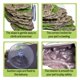thumbnail image 4 of Ramp Kathson Turtle - Plataforma para tomar el sol (18 x 16 x 7 cm), color verde, 4 of 6