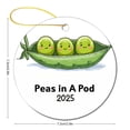thumbnail image 2 of Peas in A Pod Ornament Green Beans Circle Ornament Personalized Christmas Ornaments Christmas Ornament for Family Sister Friend, 2 of 5