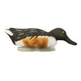 thumbnail image 4 of Higdon Standard Shoveler Foam-Filled Duck Decoys, 6 Pack, 4 of 6