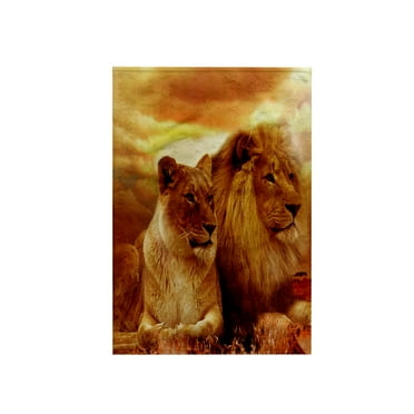 3dRose, Beautiful Lion and Lioness Couple Wildlife Photography, 15x22 Hand Towel