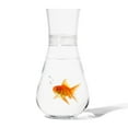 thumbnail image 2 of TOSSWARE POP Decanter, Recyclable, Lightweight & Shatterproof, 28oz, Decanter Clear, 2 of 7