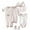 A_Multicolor, variant on JDEFEG Preemie Baby Girl Clothes Set +Bib+Sock Set Tops+Hat+Pants Girl Baby 8Pcs Outfits Boy Shose+Romper Girls Outfits&Set Preemie Twin Girls Baby Clothes Cotton Blend Pink One Size