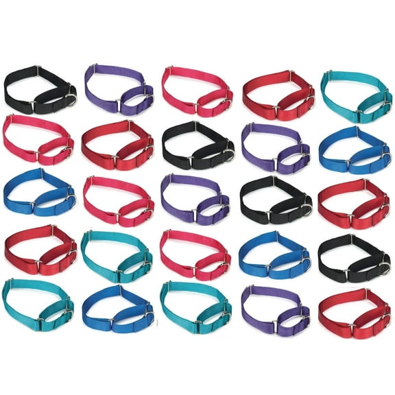 25 Martingale Dog Collar Bulk Packs Shelter Rescue Vet Assorted Colors Pick Size (Medium - 14 to 20 inch)