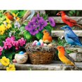 thumbnail image 1 of Puzzle VOLUVOLU Colorful Birds 300 piezas para adultos, 1 of 7