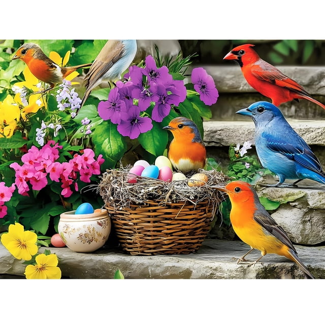 Puzzle VOLUVOLU Colorful Birds 300 piezas para adultos