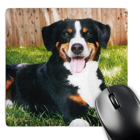 3dRose  Appenzeller Mountain Dog  MousePad price history on PriceWatchPro