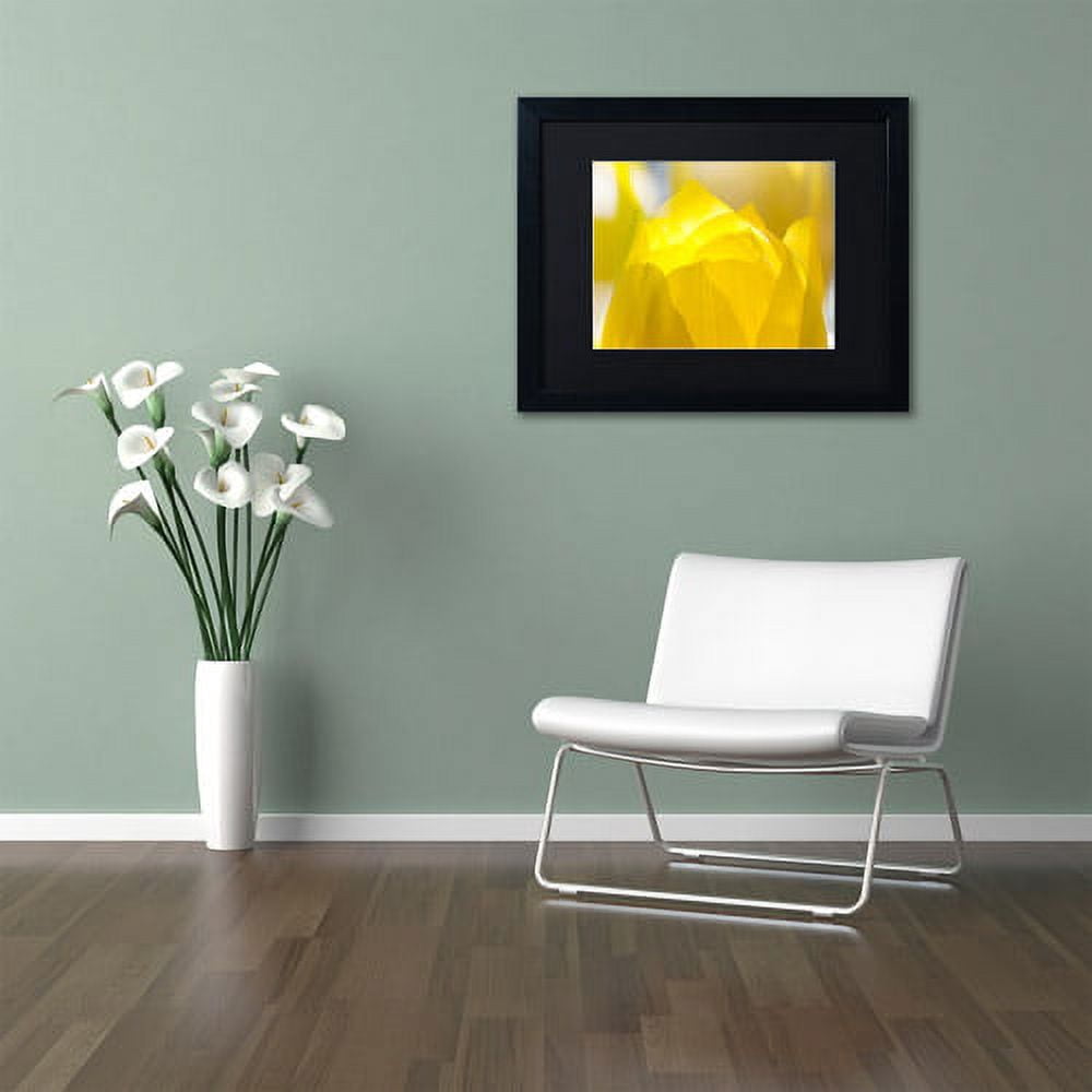 Trademark Fine Art "Yellow Tulip" Canvas Art by Kurt Shaffer Black Matte, Black Frame
