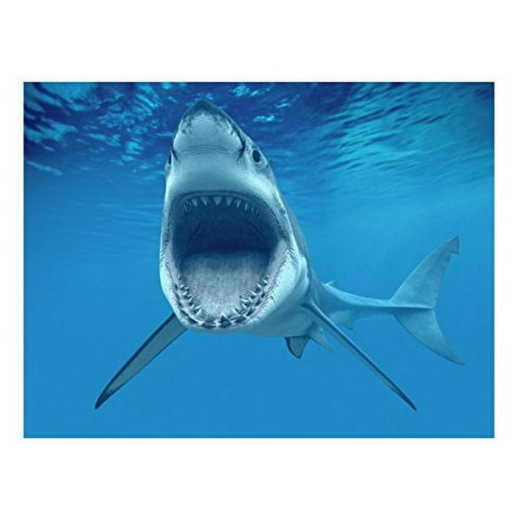 1/2 Sheet Shark Attacking Birthday Edible Cake/Cupcake Topper  for 1/2 Sheet cake