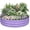 Lavender Purple, variant on Raised Garden Bed, 4x2x1 FT Galvanized Steel Metal Raised Garden Bed, Oval Open-Bottom Design, 12-Inch Deep for Outdoor Vegetable & Herb Gardening, Lavender Purple