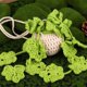 thumbnail image 4 of Kit de ganchillo para colgar de encaje de punto de lana DIY con instrucciones en inglés, 4 of 6