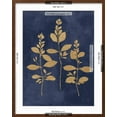 thumbnail image 5 of Art.com Botanical Study IV Gold Navy Art Print by Julia Purinton, Brown Frame Wall Art, 23" x 29", 5 of 5