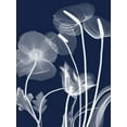 thumbnail image 2 of Koetsier, Albert 12x14 Gold Ornate Wood Framed with Double Matting Museum Art Print Titled - Navy Flora 1, 2 of 4