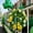 E, variant on HOARBOEG St. Patrick's Day Wreath for Front Door, 14 Inch Spring Wreath with Shamrocks & Gold Accents, Artificial Foliage Wreath for Indoor and Outdoor Wall Decor, Holiday & Home Decoration Wreath