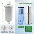 thumbnail image 4 of Black and Fluoride Water Filter Replacement, PF Water Filter 2, Arsenic Replacement Water Filter (Pack of 2), 4 of 7