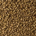 thumbnail image 3 of Comida Para Iguanas Mazuri Alimento Premium 450gr, 3 of 3