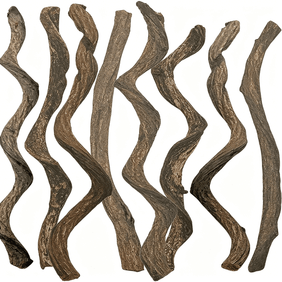BPPEG Reptile Forest Climbing Branch Decor Crested Gecko Climb Wood Natural Branches Tree for Snake Frog Chameleon Spider Bearded Dragon Terrarium Habitat Tank Accessories,8Pcs
