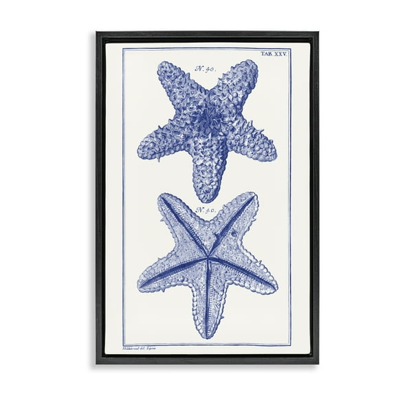 Stupell Industries Blue Starfish Studies Animals & Insects Painting Black Floater Framed Canvas Art Print Wall Art, 17 x 25