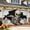 6 x 13 ft, variant on 7 x 16 ft Halloween Garage Door Cover Halloween Decorations Outdoor Hanging Banner Garage Buddy Backdrop for Home Wall Decor Holiday Spooky Party Photo Backgrounds Window Decoration
