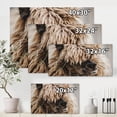 thumbnail image 4 of Close Up Of Fluffy Curly Alpaca 12 in x 8 in Photography Canvas Art Print, by Designart, 4 of 4