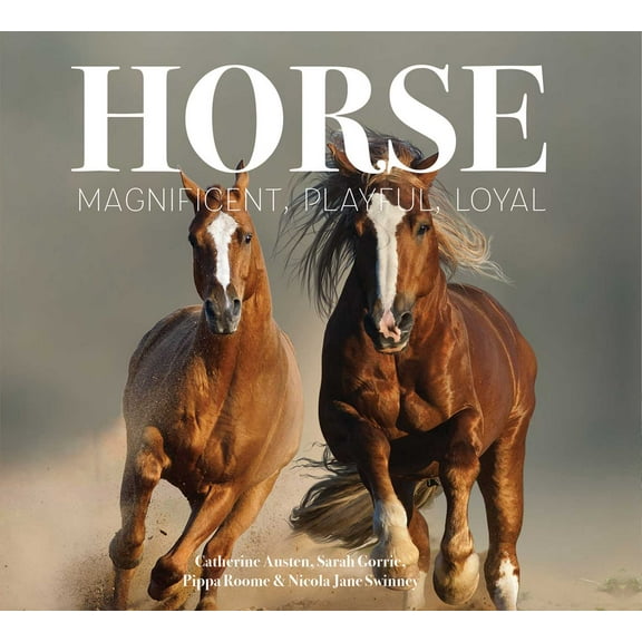 Best Kept Secrets: Horse : Magnificent, Playful, Loyal (Hardcover)