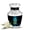 Dragonfly-2, variant on Dragonfly Funeral Urns for Human Ashes Adult Man & Women - Large Black Cremation Urns for Adult Ashes Women - Green Memorial Urn for Brother & Sister - Decorative Burial Urn - 10 Inch